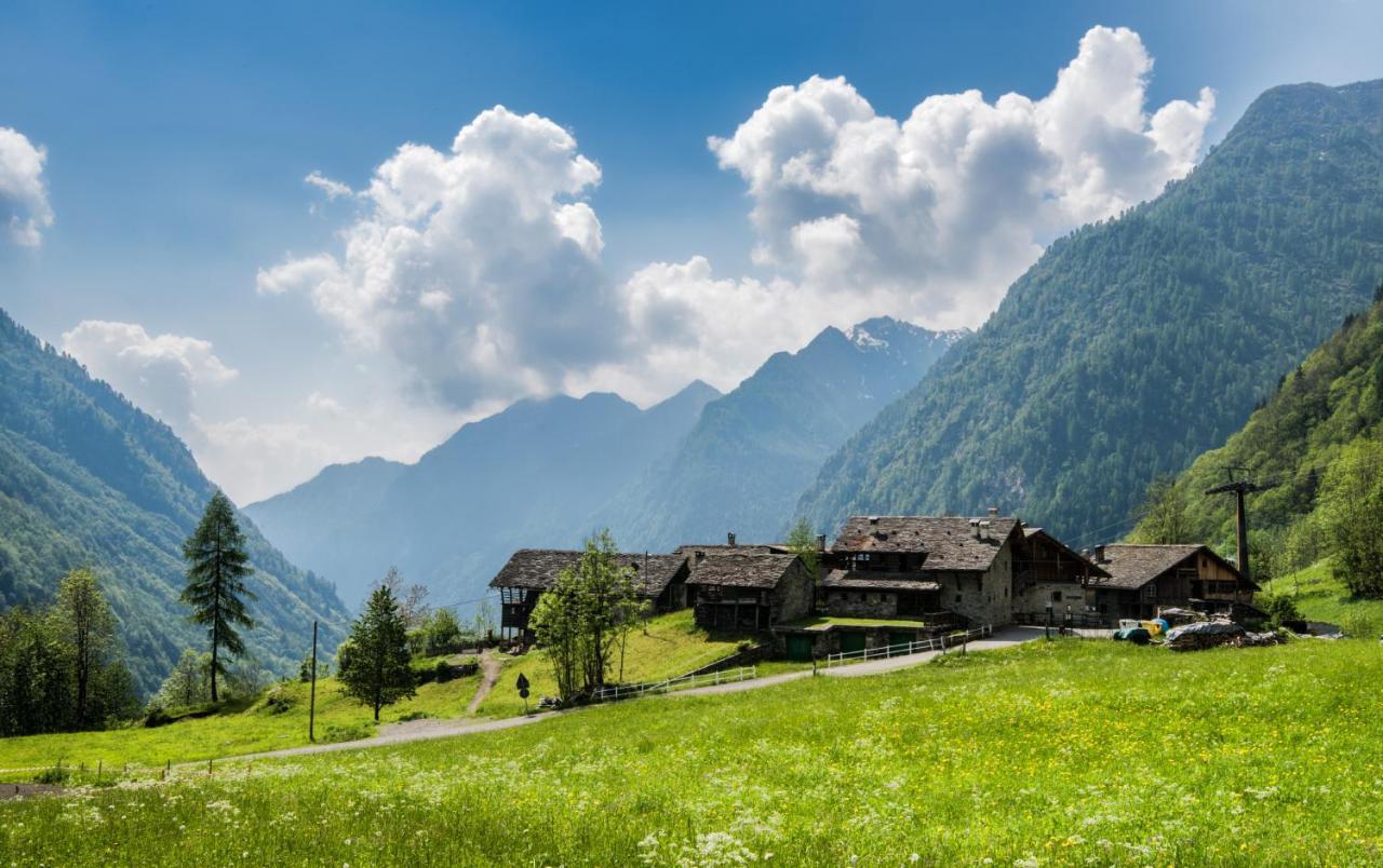 Mountain & Alagna Valsesia